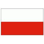 Internacional